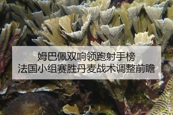 mu-ba-pei-shuang-xiang-ling-pao-she-shou-bang-fa-guo-xiao-zu-sai-sheng-dan-mai-zhan-shu-tiao-zheng-qian-zhan-2-848.jpg